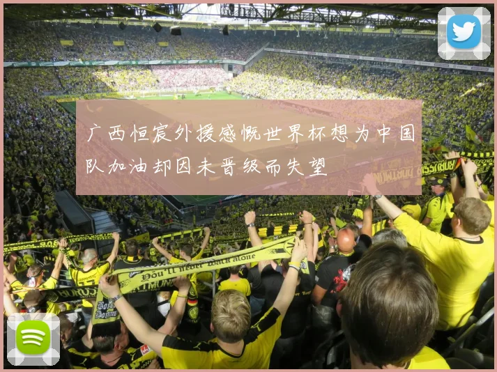 广西恒宸外援感慨世界杯想为中国队加油却因未晋级而失望