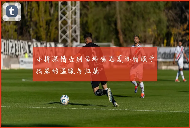 小桥深情告别黄蜂感恩夏洛特赋予我家的温暖与归属
