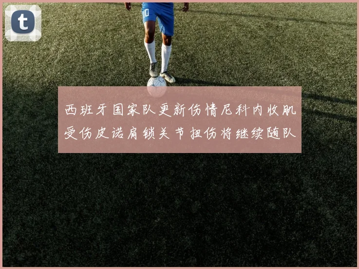 西班牙国家队更新伤情尼科内收肌受伤皮诺肩锁关节扭伤将继续随队训练